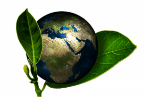 Eco-Friendly